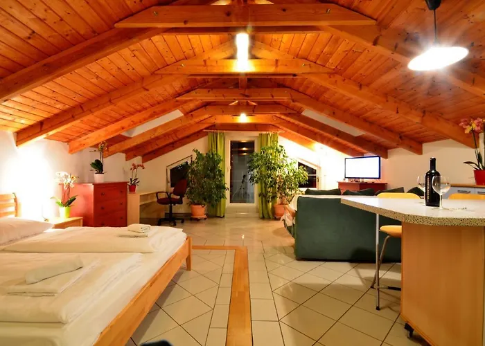 Ajo Apartments - Alte Donau Lake View Penthouse - Self-Check-In